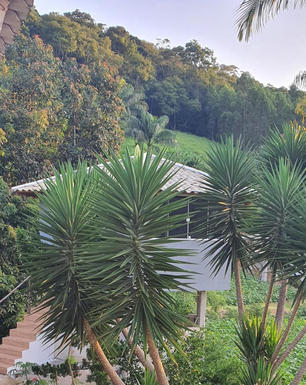 Suite De Charme Na Regiao De Pedra Azul Afonso Cláudio Exterior foto
